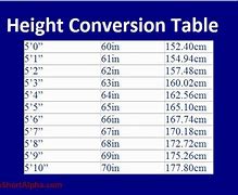 Image result for 50 Cm in Height
