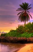 Image result for Tropical Paradise iPhone Wallpaper