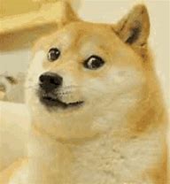 Image result for Doge Meme Template