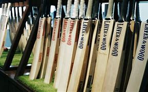 Image result for Cricket Bat India