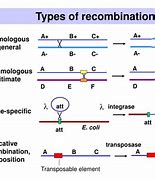 Image result for Recombination Era
