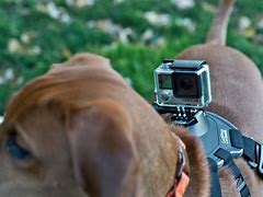 Image result for GoPro Hero 4 Silver
