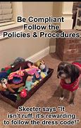 Image result for Following Policy Meme