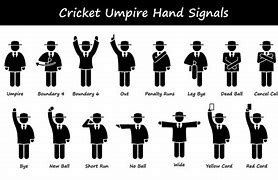 Image result for 80 Not Out Cricket Sign