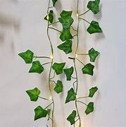 Image result for Hanging Vines with Lights