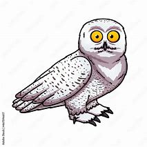Image result for Cartoon Snow Owl