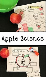 Image result for Apple Science Activities for Preschoolers