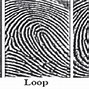 Image result for Con Centri Fingerprint