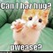 Image result for Cute Hug Memes