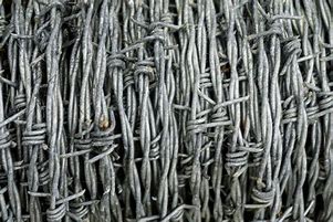 Image result for Barbed Wire Vector
