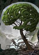 Image result for Surrealism in Nature