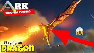 Image result for Black Dragon Wyvern