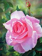 Image result for Most Beautiful Flower Art