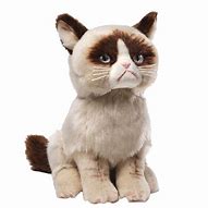 Image result for Grumpy Cat Plush