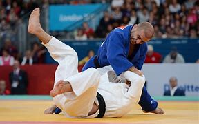 Image result for judo