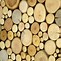 Image result for Wood Wall Art