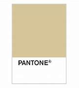 Image result for champagne gold pantone iphone