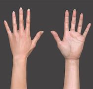 Image result for Hand Body Nature E