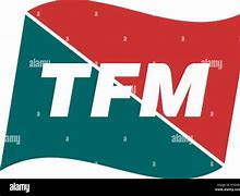 Image result for tfm stock