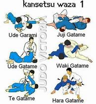 Image result for Jiu Jitsu Moves Chart