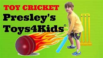 Image result for Toy Cricket Game