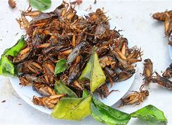 Image result for Spicy Crickets Food