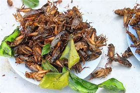 Image result for Cricket Bites Food