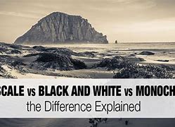 Image result for Difference Between Black and Z Black