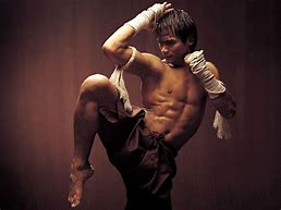 Image result for Cool Martial Arts Pictures