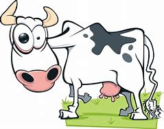 Image result for mad cow