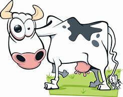 Image result for Angry Cow Cartoon