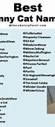 Image result for Crazy Cat Names Meme