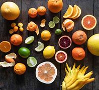 Image result for Citrus Fruits