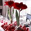 Image result for Dining Table Centerpiece Ideas