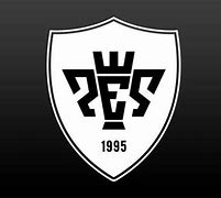 Image result for PES Logo
