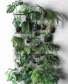 plantas penduradas ao ar livre a imagem pode conter planta 225 rvore e atividades ao ar plantas penduradas ao ar livre a imagem pode conter planta 225 rvore e atividades ao ar