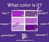 Image result for Say and Tell Difference