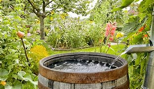 Image result for Rain Water Bucket