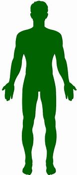 Image result for Male Body Silhouette Clip Art