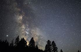 Image result for Night Sky with Trees