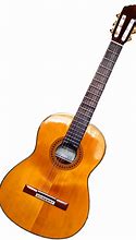 Image result for Guitar Music Instruments