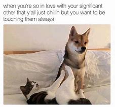 Image result for Cute Memes for Girlfriend
