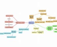 Image result for Memory Mind Map Psychology