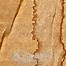 Image result for Cardboard Brown Paper Texture