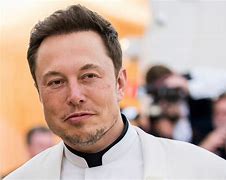 Image result for Elon Musk with Money