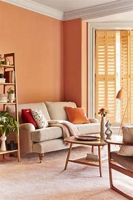 Image result for Multi Colored Living Room Walls