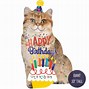 Image result for Happy Birthday Wishes with Cats