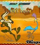 Image result for Road Runner X Wile E. Coyote
