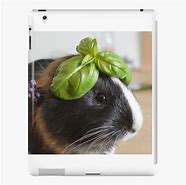 Image result for Guinea Pig iPad Case