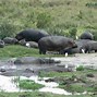 Image result for Wild Waters Mombasa Kenya